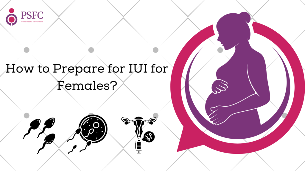 How to Prepare for IUI for Females?