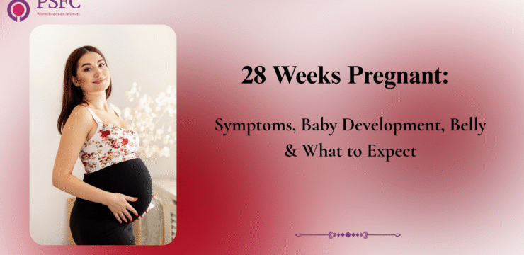 28 weeks pregnant — Baby Kicks, Growth & Third Trimester Care. Learn about symptoms, baby movements, belly changes, and pregnancy health tips for mothers.