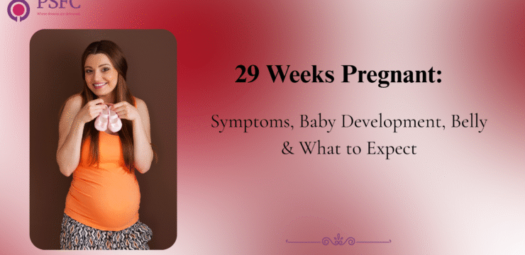 29 Weeks Pregnant: Symptoms, Baby Development, Belly & What to Expect