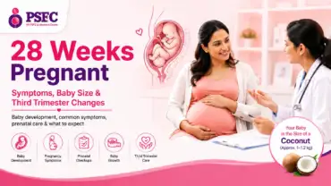 28 Weeks Pregnant