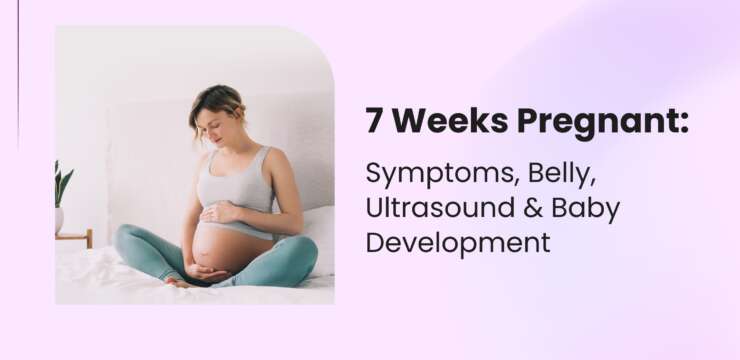 7 Weeks Pregnant: