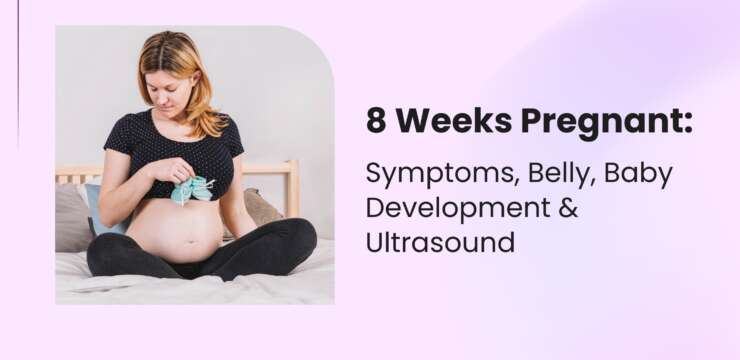 8 Weeks Pregnancy