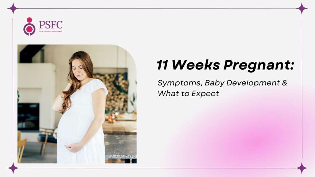 11 Weeks Pregnant: Symptoms, Baby Development & What to Expect