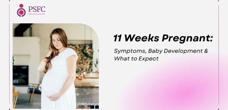 11 Weeks Pregnant