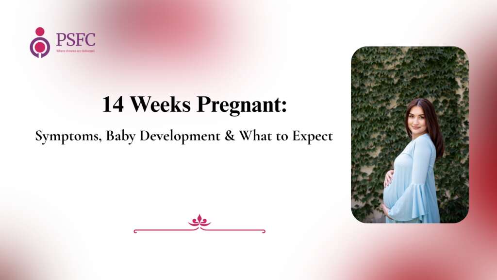 14 Weeks Pregnant: Symptoms, Baby Development & What to Expect
