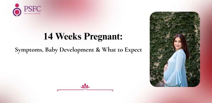 14 Weeks Pregnant: Symptoms, Baby Development, Belly & What to Expect