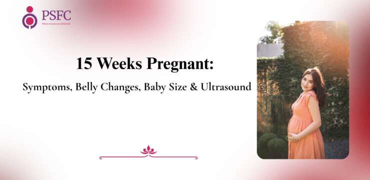 15 Weeks Pregnant: Symptoms, Belly Changes, Baby Size & Ultrasound