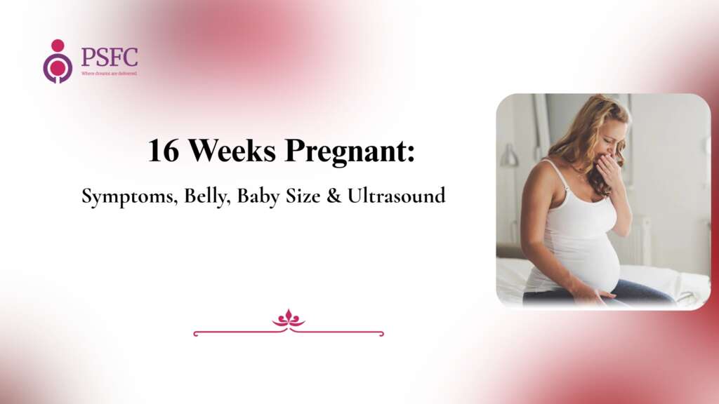 16 Weeks Pregnant: Symptoms, Belly, Baby Size & Ultrasound