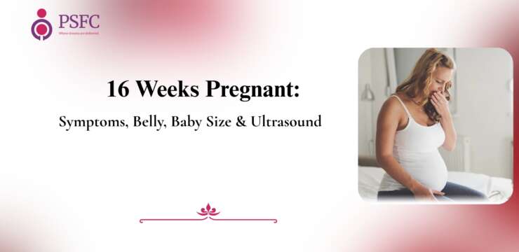 Your Pregnancy Journey at 16 Weeks: Growth & Body Changes — Discover what happens at 16 weeks pregnant, including baby growth, body changes, and key health tips for the second trimester.