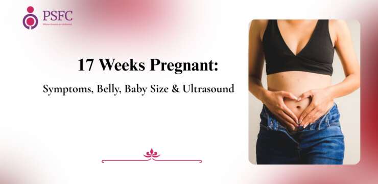 Inside Your Pregnancy at 17 Weeks: Baby Growth & Movement