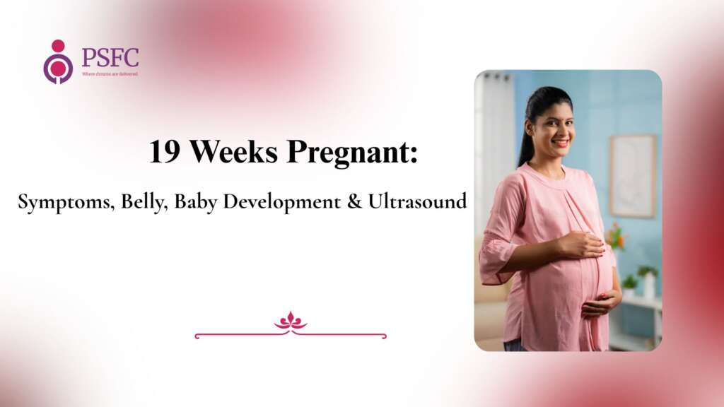 19 Weeks Pregnant: Symptoms, Belly, Baby Development & Ultrasound