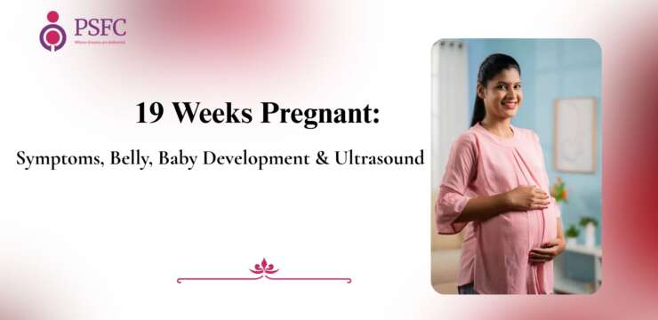 19 Weeks Pregnant: Symptoms, Belly, Baby Development & Ultrasound