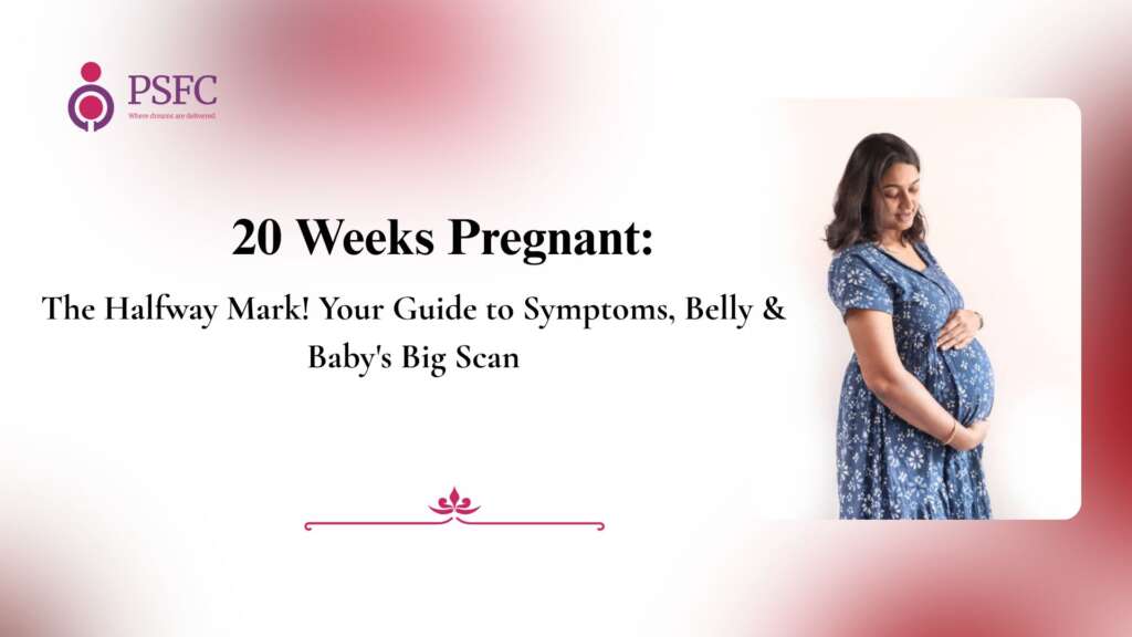 20 Weeks Pregnant: The Halfway Mark! Your Guide to Symptoms, Belly & Baby’s Big Scan