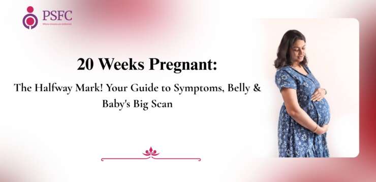 Pregnancy at Week 20: Key Insights & Baby Growth — Learn what happens at 20 weeks of pregnancy, including baby growth, belly development, movements, and health insights.