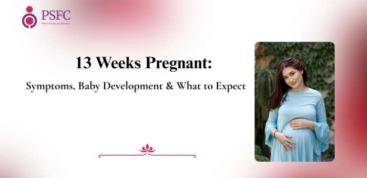 13 Weeks Pregnant: Symptoms, Baby Development & What to Expect