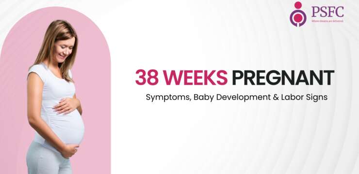 Approaching Delivery: What Happens in the 38th Week of Pregnancy — Understand baby’s position and labor readiness.