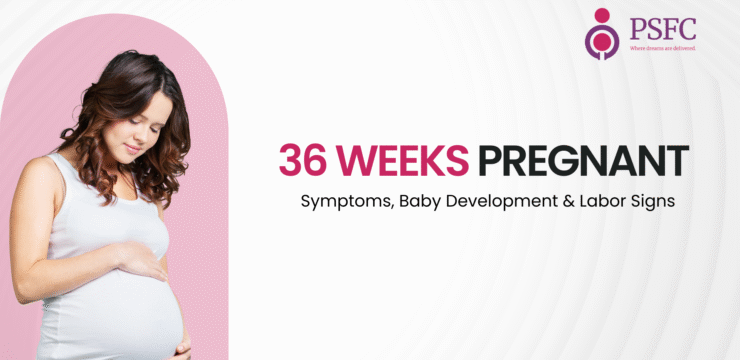 Pregnancy at 36 Weeks: Signs of Labor, Baby Growth & Final Prep — Learn how to prepare your body and mind for labor