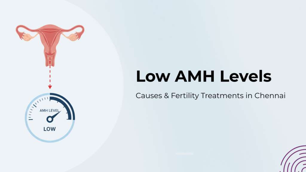 Low AMH Levels: What Your Report Really Means & Effective Treatments