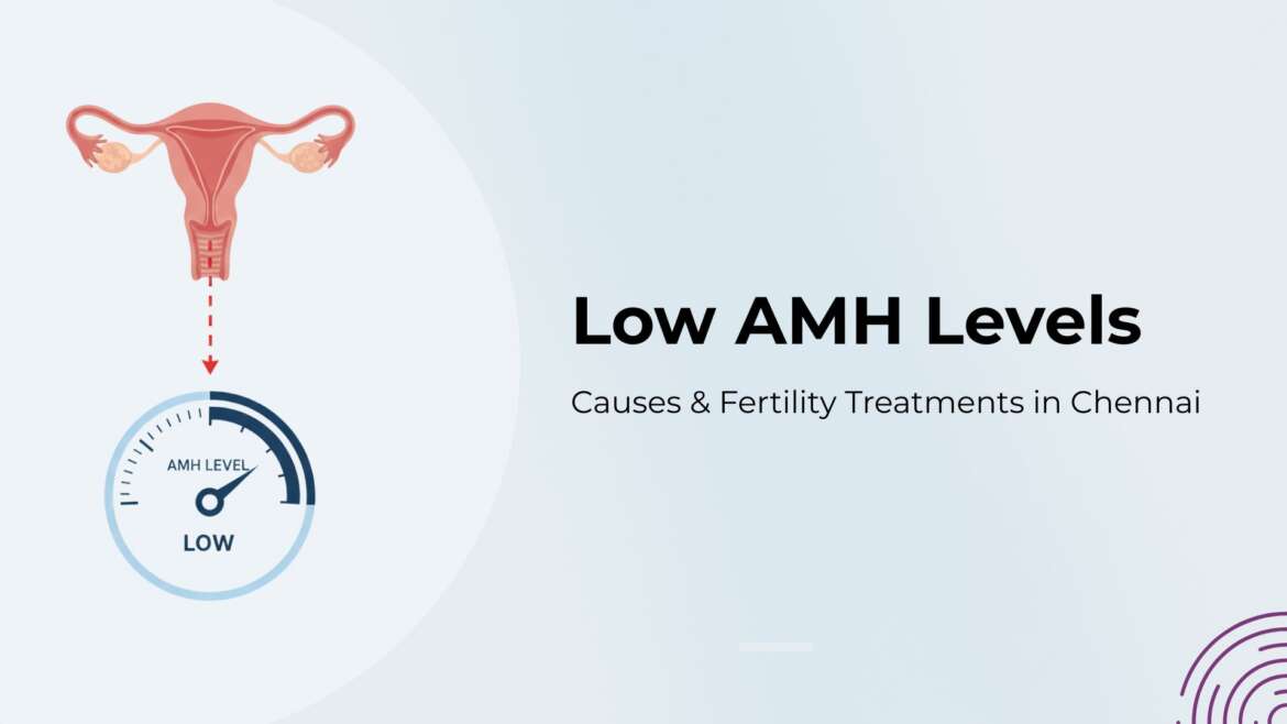 low AMH levels explanation and fertility treatment options in Chennai