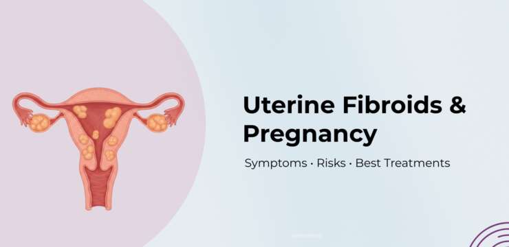 Woman holding lower abdomen symbolizing uterine fibroids, fertility issues, and pregnancy challenges