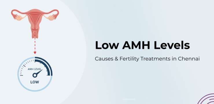 low AMH levels explanation and fertility treatment options in Chennai