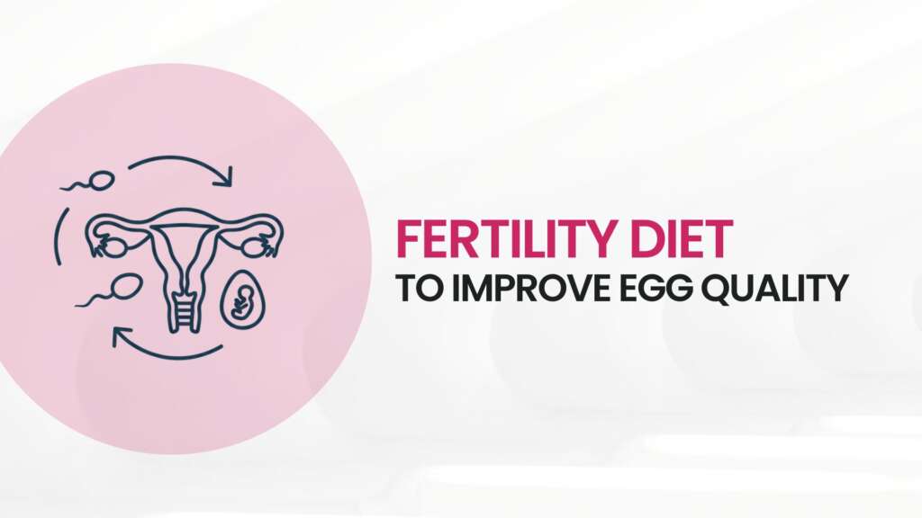Fertility Diet to Improve Egg Quality