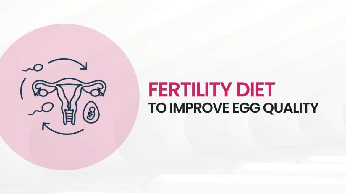 south indian fertility diet to improve egg quality for women in Chennai