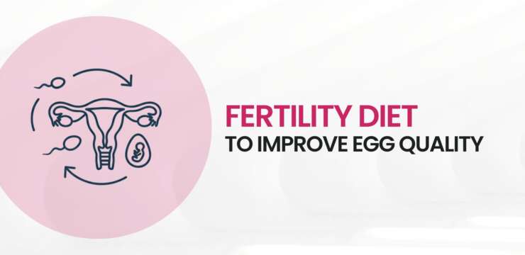 south indian fertility diet to improve egg quality for women in Chennai