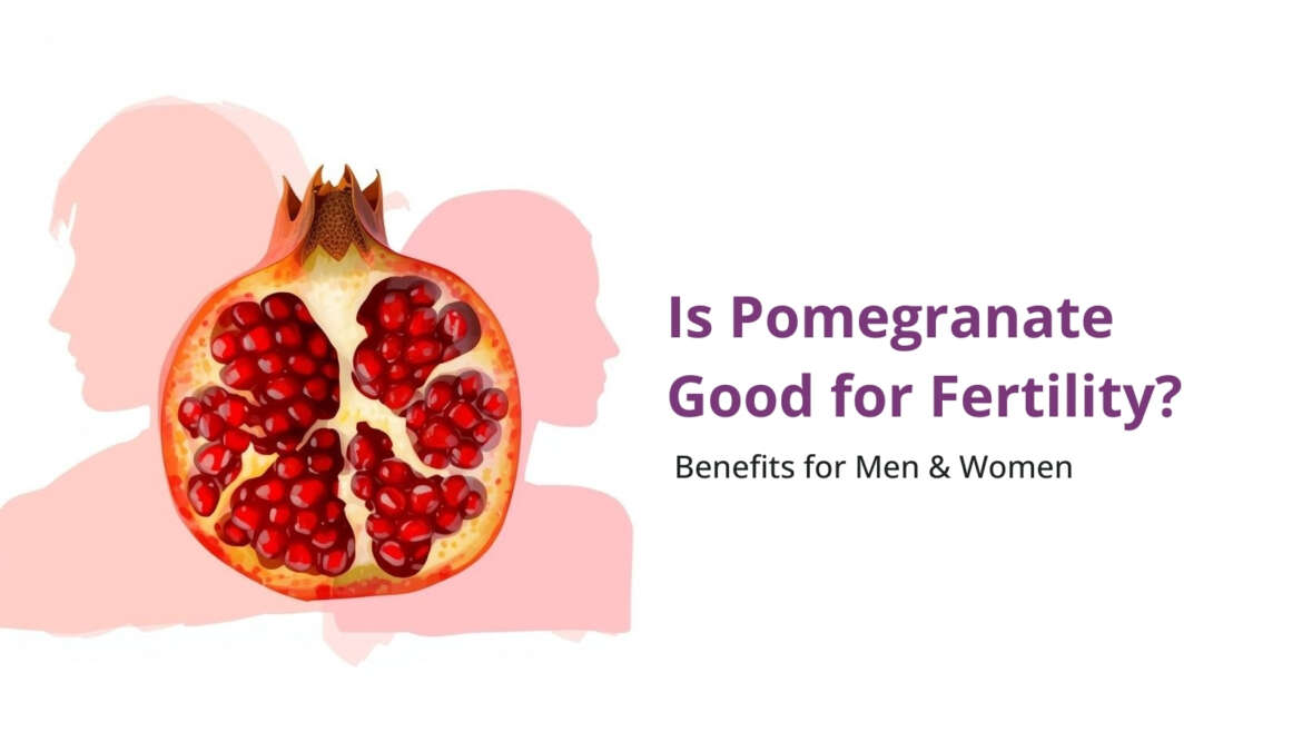 Pomegranate fruit and seeds supporting fertility and reproductive health in men and women
