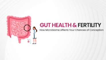 Illustration of the gut-fertility connection showing microbiome and reproductive health