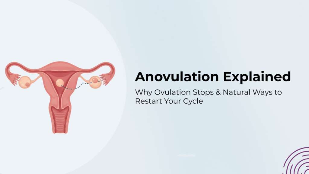 Anovulation Explained: Why Ovulation Stops & Natural Ways to Restart Your Cycle