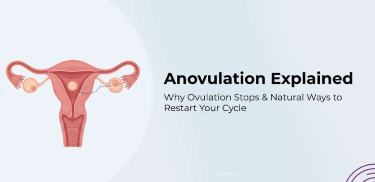 Woman tracking her menstrual cycle to understand anovulation and fertility