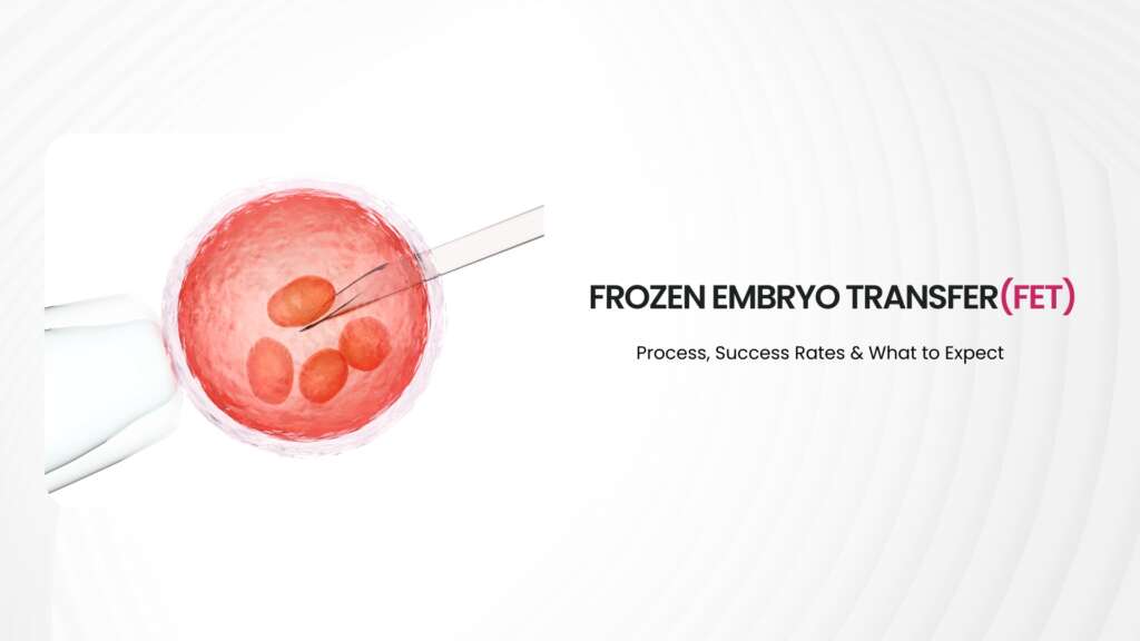 Frozen Embryo Transfer (FET): Process, Success Rates & What to Expect