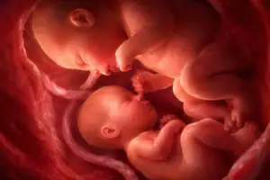 Twin Pregnancy in IVF